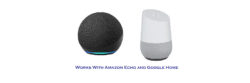 Amazon echo google home1