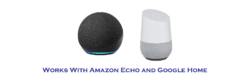 Amazon echo google home